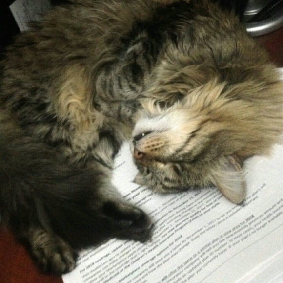 Meet your Posher, C4T_N4NCY! - Picture 4 of 8